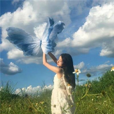 铁线蕨青